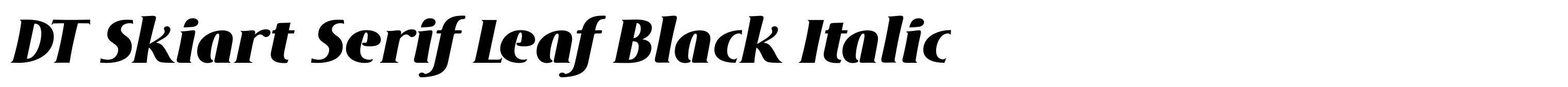 DT Skiart Serif Leaf Black Italic